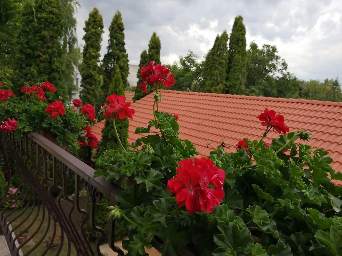 Julia Panzio Bed & Breakfast Hajduszoboszlo Hungary
