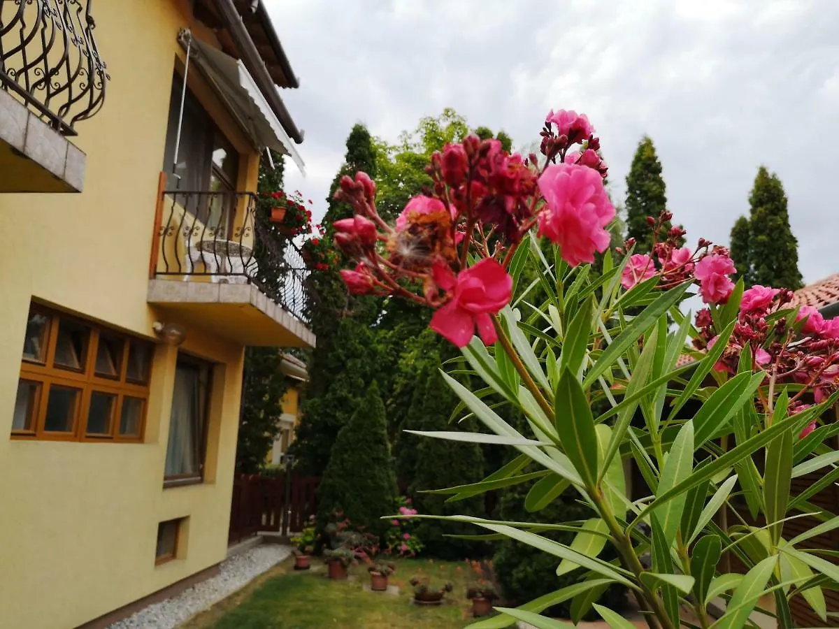 Julia Panzio Bed & Breakfast Hajduszoboszlo 3*,  Hungary